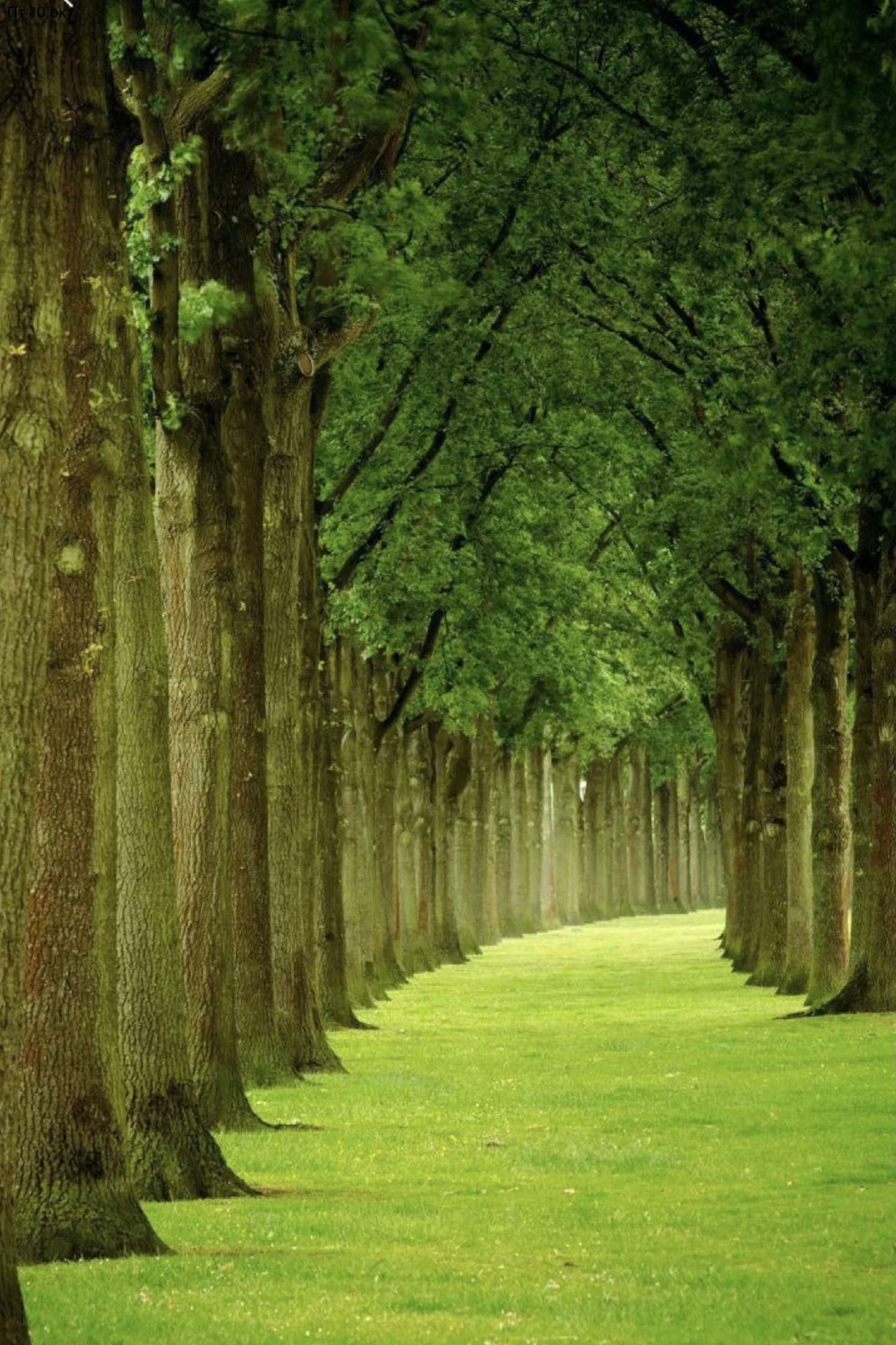 Mobile header image view